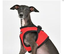 Puppia hundegeschirr rot gebraucht kaufen  Deutschland