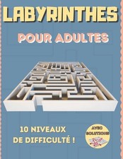 Labyrinthes adultes niveaux d'occasion  Expédié en Belgium