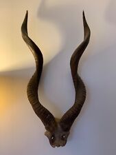 kudu horns for sale  HERTFORD