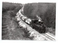 Foto waldeisenbahn muskau gebraucht kaufen  Neugersdorf