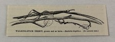 1885 book engraving for sale  Wilmington