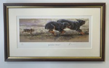 Mick cawston yorkshire for sale  FROME