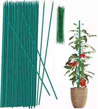 Green plant flower for sale  SUNBURY-ON-THAMES