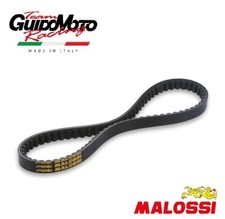 Cinghia malossi special usato  Mogliano Veneto
