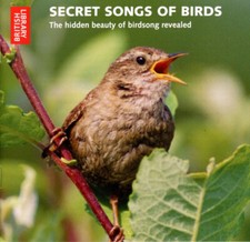 Secret songs birds for sale  SIDMOUTH