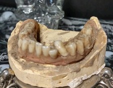 Vintage false teeth for sale  Lawton