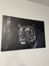 Wandbild tiger gebraucht kaufen  Langenhagen