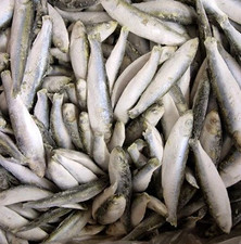 50g salt preserved for sale  NEWPORT