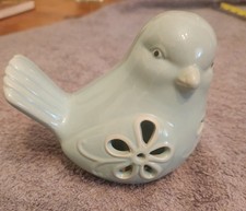 baby blue bird for sale  Stafford