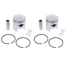 Piston kit fits for sale  Escanaba