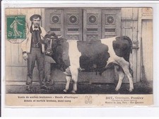 Pontivy vaches bretonne d'occasion  France