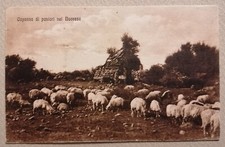 Sardegna nuoro gapanna usato  Roma