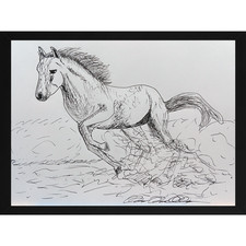 Mustang running free for sale  Palm Coast