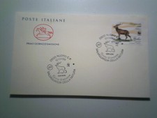 Primo giorno cavallino usato  Battipaglia