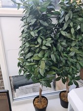 Blooming artificial faux for sale  MANCHESTER