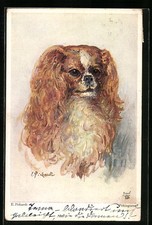 Süßer pekinese ansichtskarte gebraucht kaufen Süßer pekinese ansichtskarte gebraucht kaufen  Berlin