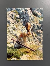Marie versini einer gebraucht kaufen  Oberthal