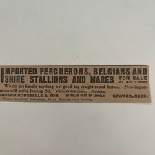 Imported percherons belgians for sale  Hinckley