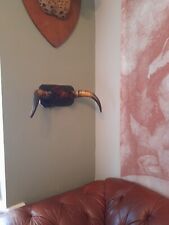 Antique taxidermy horns for sale  KINGSWINFORD