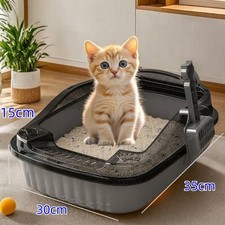 Open grey cat for sale  BIRMINGHAM