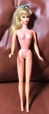 Vintage tnt barbie for sale  Louisville