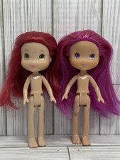 Strawberry shortcake plum for sale  Buckley