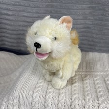 pup pomeranian for sale  SOUTHEND-ON-SEA