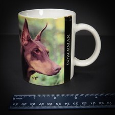 Brown doberman pinscher for sale  Lockport