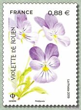 2019 flower fleur d'occasion  Expédié en Belgium