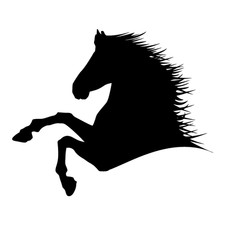 Sticker autocollant cheval d'occasion  Narbonne