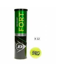 Cartone tubi dunlop usato  Rionero in Vulture