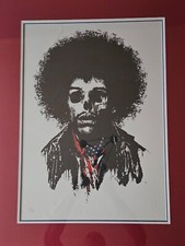 Paul insect dead for sale  BARNET