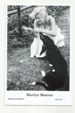 Bx98 marilyn monroe for sale Bx98 marilyn monroe for sale  RADSTOCK