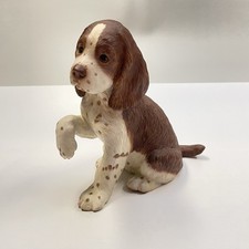 Lenox english springer for sale  Sunnyvale