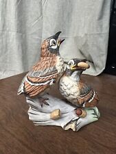 Lovely boehm fledgeling for sale  Birmingham