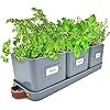 Green thumbz vasi usato  Italia