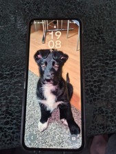 Samsung galaxy flip gebraucht kaufen  Bodenheim