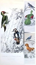 Gravures originales edouard d'occasion  Asnières-sur-Seine