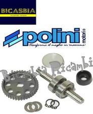 8086 pompa acqua usato  Cerignola