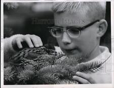 1967 press photo for sale  Memphis