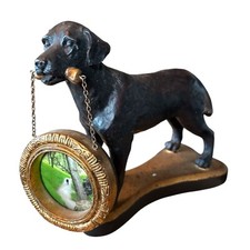 Vtg black lab for sale  Martinez