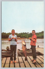 Postcard fish hid for sale  Bourbonnais