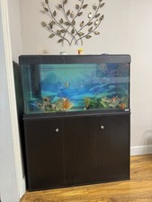 Fluval aquarium fish for sale  SALE