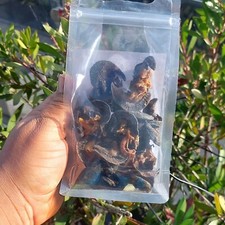 Oven dried snail for sale  LONDON