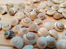 100 white pearl for sale  PORTHCAWL