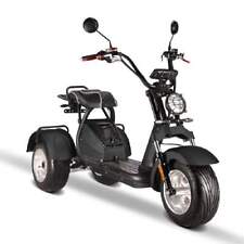 Scooter trike straßenzulassun gebraucht kaufen  Heusenstamm