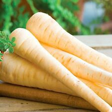 Genuine parsnip imperial for sale  NORTH SHIELDS