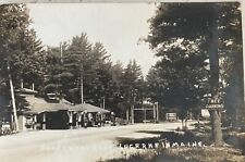 Antique rppc goose for sale  Hilton Head Island