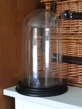 Large glass display for sale  BRAINTREE