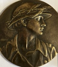 Médaille cuivre dropsy d'occasion  France